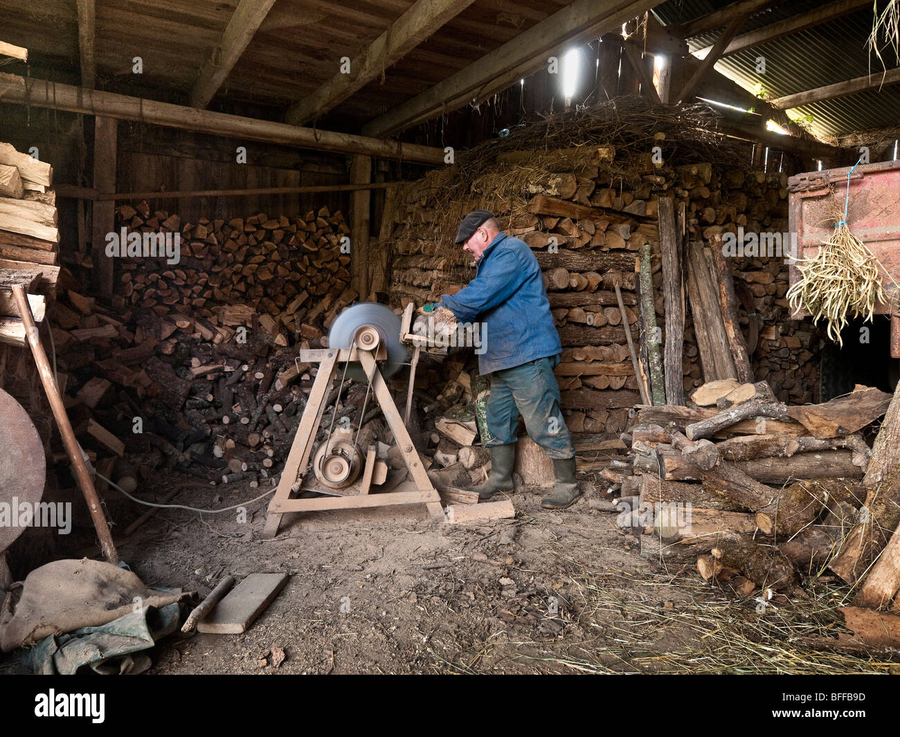 Il francese contadino segare tronchi per il carburante invernale - sud-Touraine, Francia. Foto Stock