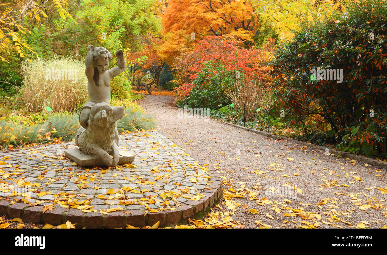 Wroclaw Autunno colori autunnali al Giardino Botanico Polonia Foto Stock