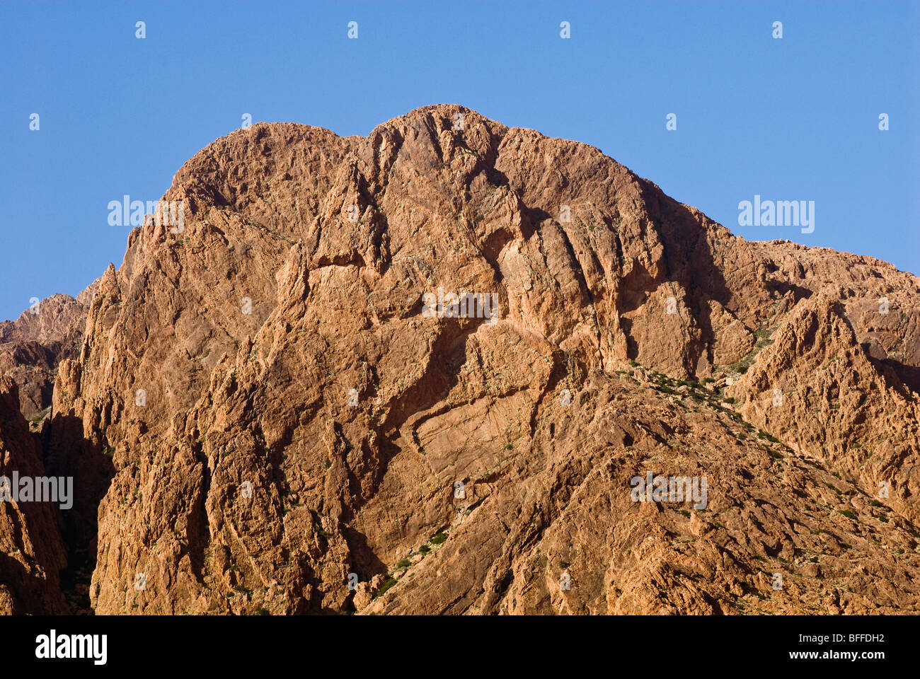 Forma di Lion rock formazione, Ameln Valley, Anti Atlas, Marocco Foto Stock