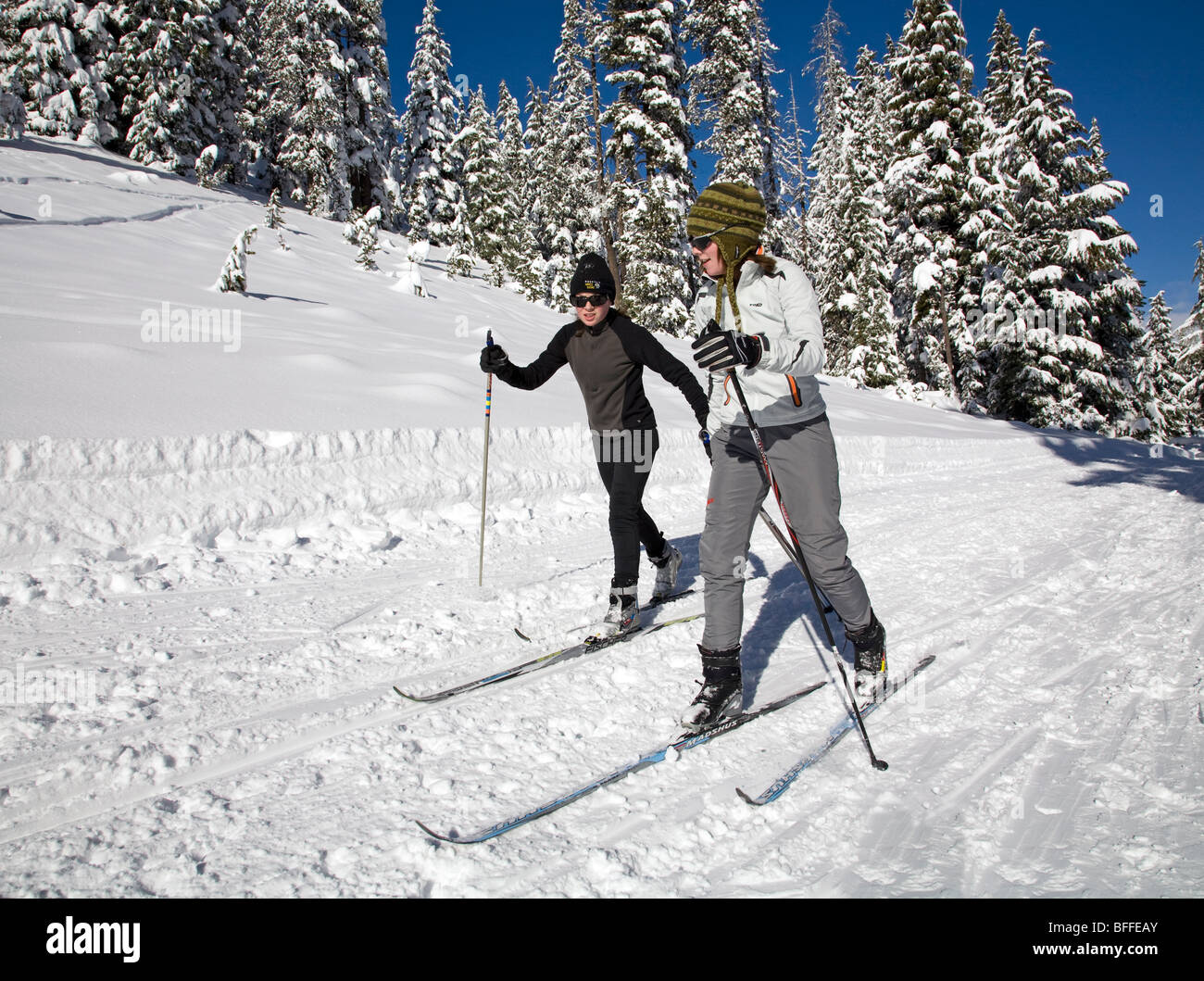 Cross country o sciatori nordici su un sentiero curato nei pressi del monte Bachelor in Oregon Cascade Mountains in inverno. Foto Stock