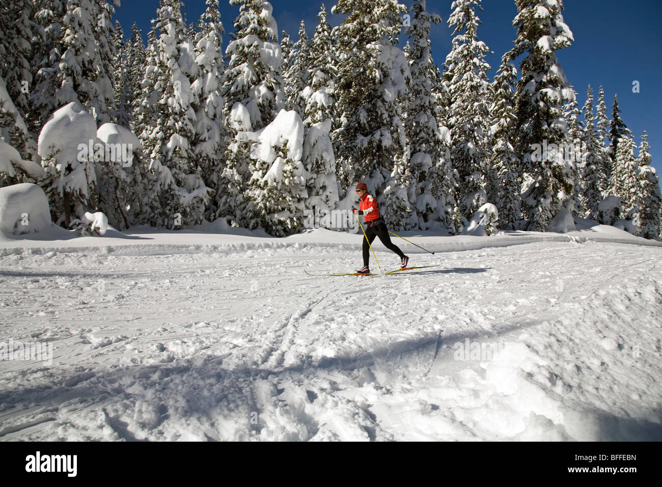 Un cross country o nordic sciatore su un sentiero curato nei pressi del monte Bachelor in Oregon Cascade Mountains in inverno. Foto Stock