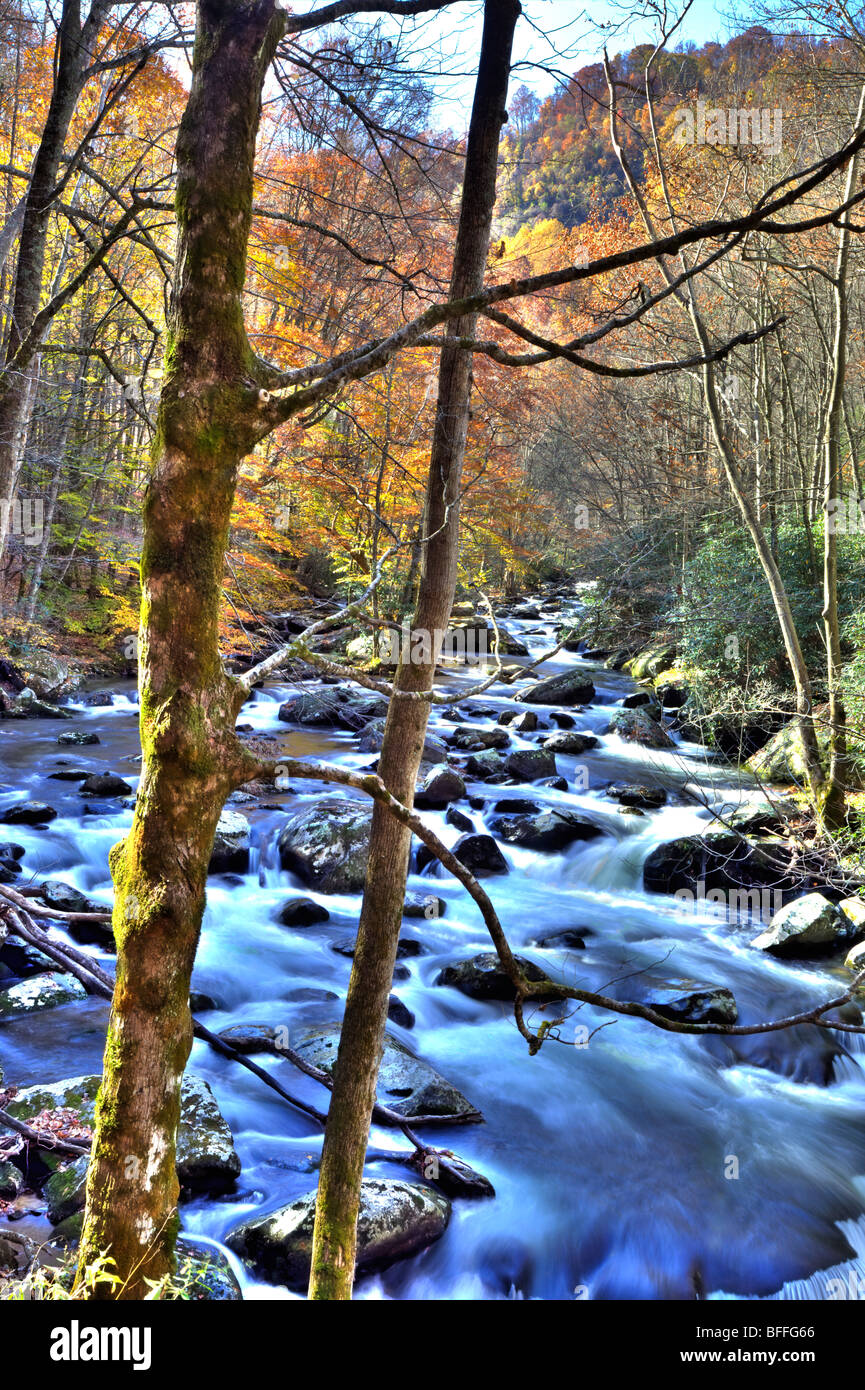 Polo Centrale piccolo fiume, Great Smoky Mountains National Park, Tennessee Foto Stock