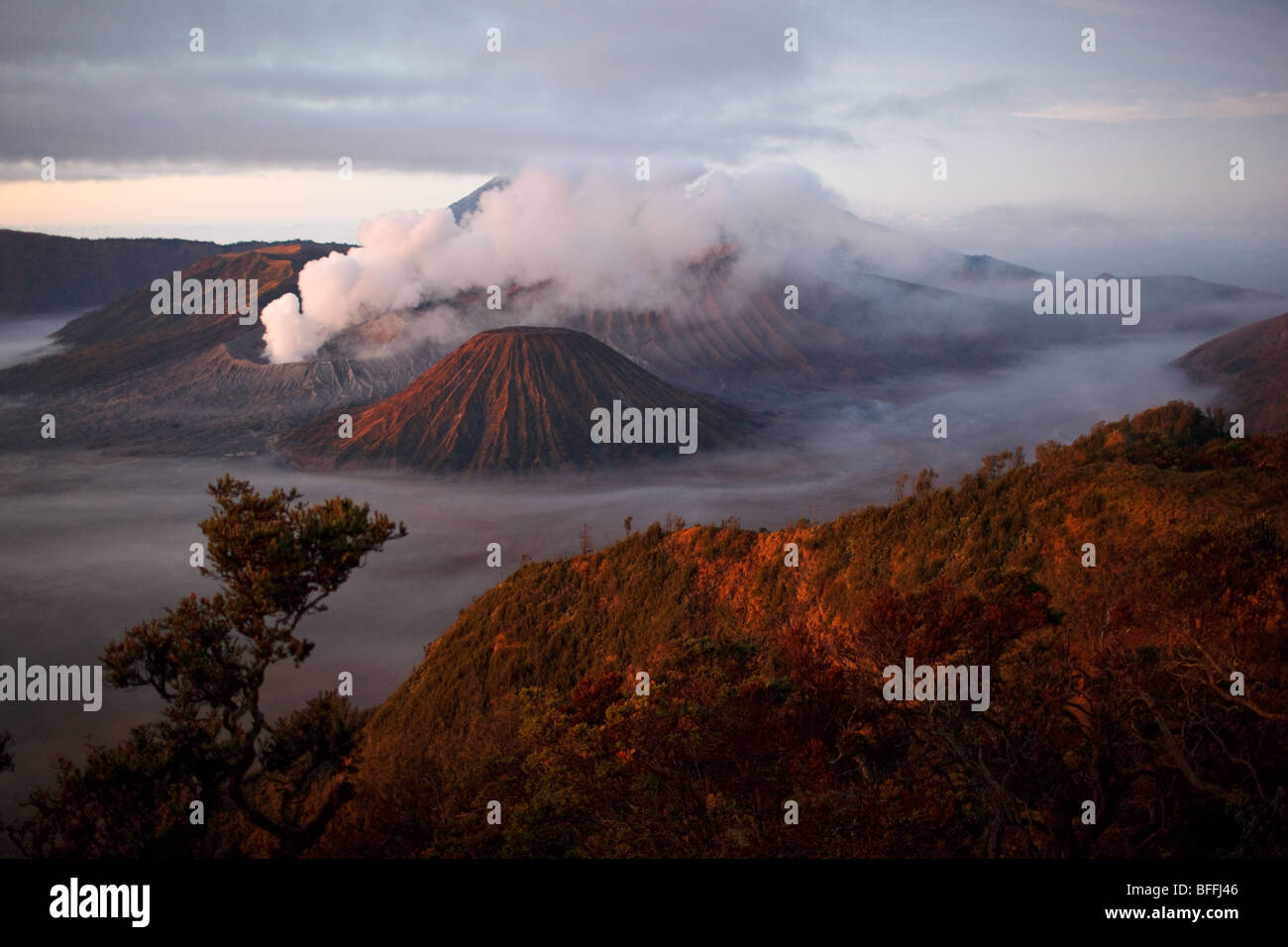 Monte Bromo e altri vulcani visto dal Monte Penanjakan, isola di Giava, in Indonesia Foto Stock