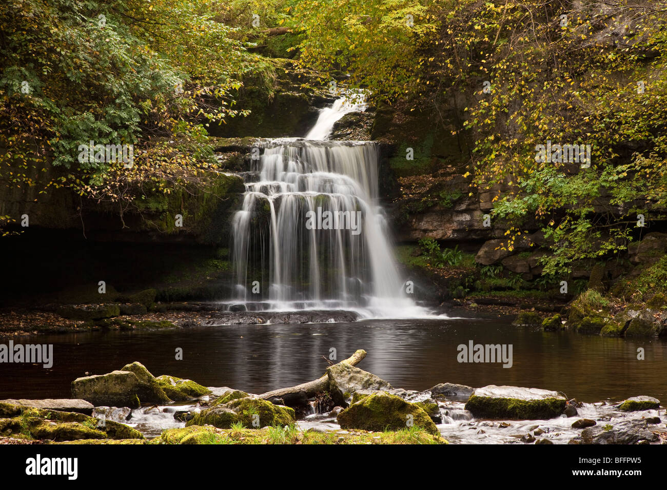 Di West Burton cade in autunno, Wensleydale, Yorkshire Dales National Park Foto Stock
