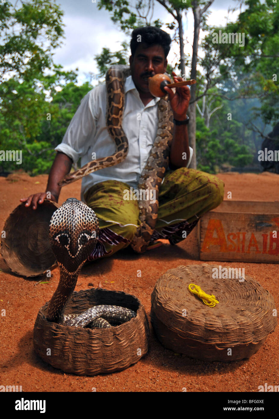 Il serpente Incantatore, Sri Lanka Sri Lanka incantatore di serpente Foto Stock