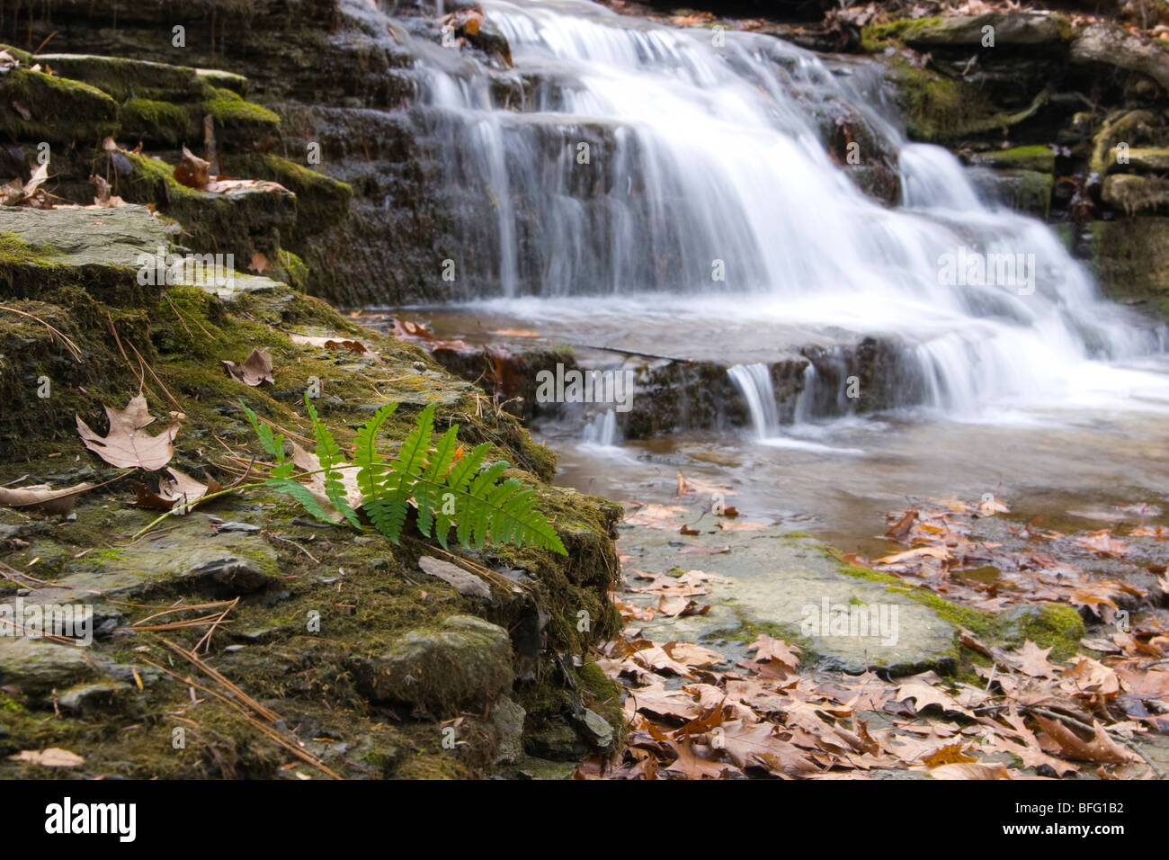 La cascata nel parco la Thatcher Upstate NY Foto Stock