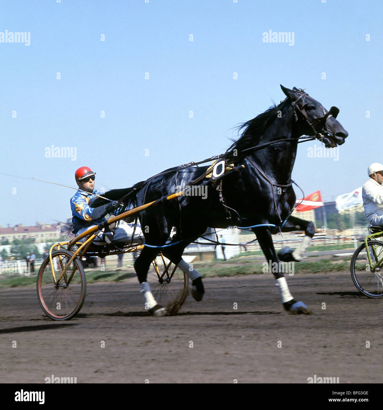 Trotter Racing a Mosca gare Foto Stock