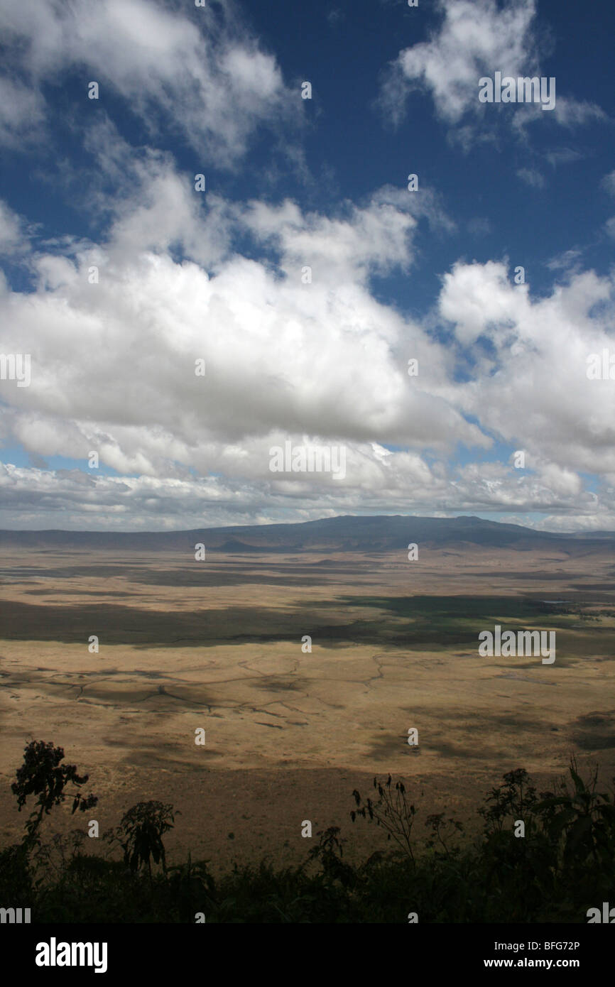 Crollo di una caldera vulcanica del cratere di Ngorongoro, Tanzania Foto Stock