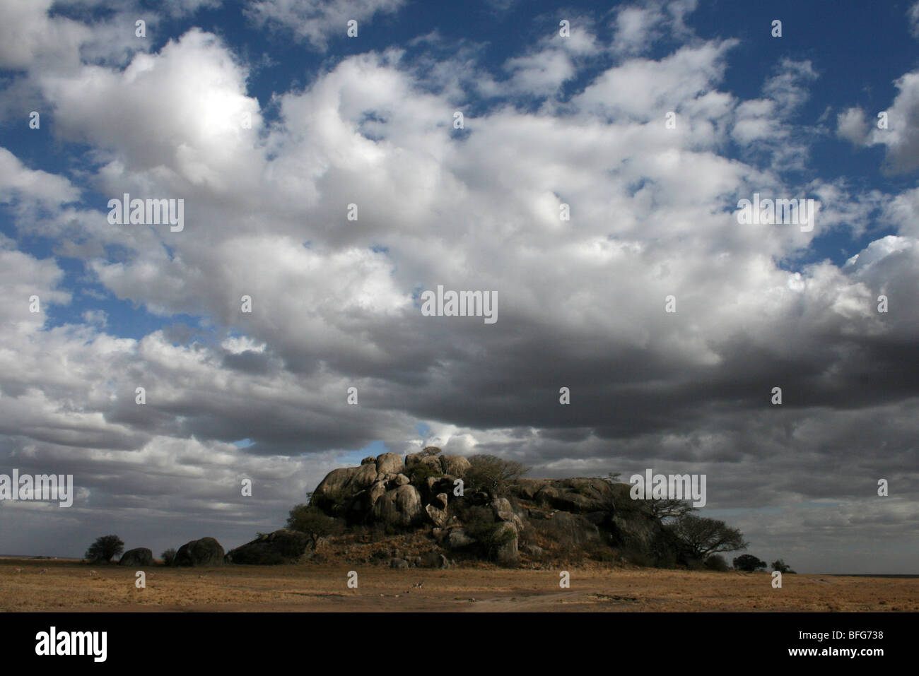 Il granito Kopje nel Parco Nazionale del Serengeti, Tanzania Foto Stock