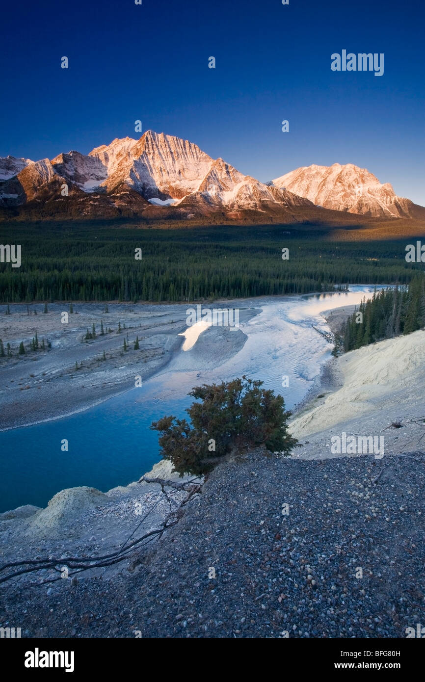 Montare Fryatt all alba con Athabasca River in esecuzione al di sotto, il Parco Nazionale di Jasper, Alberta, Canada Foto Stock