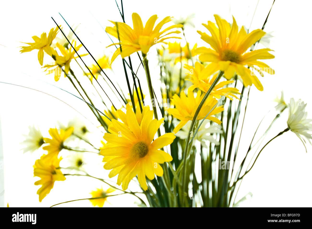 Fake giallo e bianco fiori costituito da stoffa. Foto Stock