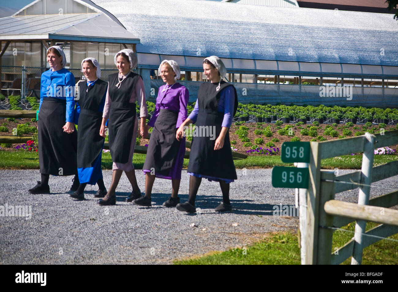 Giovani donne amish amici percorrendo a piedi il paese lane road in Lancaster PA. casalinghe Foto Stock