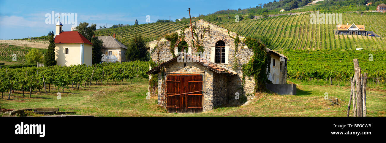 Cantina vini in Badascony vigneti , Balaton, Ungheria Foto Stock