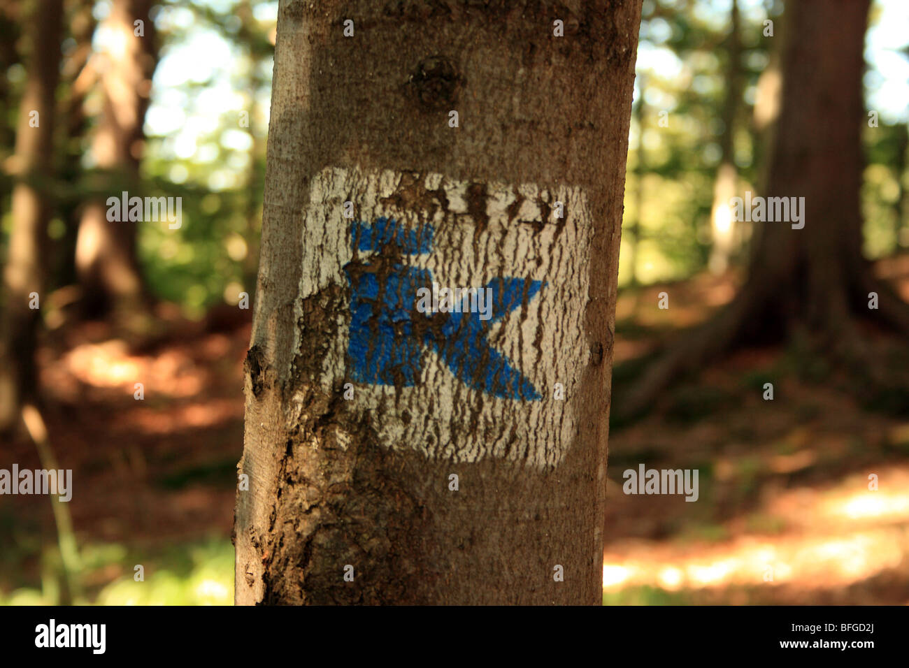 Il caratteristico 'K' modo-segno del marchio in Baviera, Germania, che contraddistingue il Re Ludwig modo sentiero escursionistico. Foto Stock