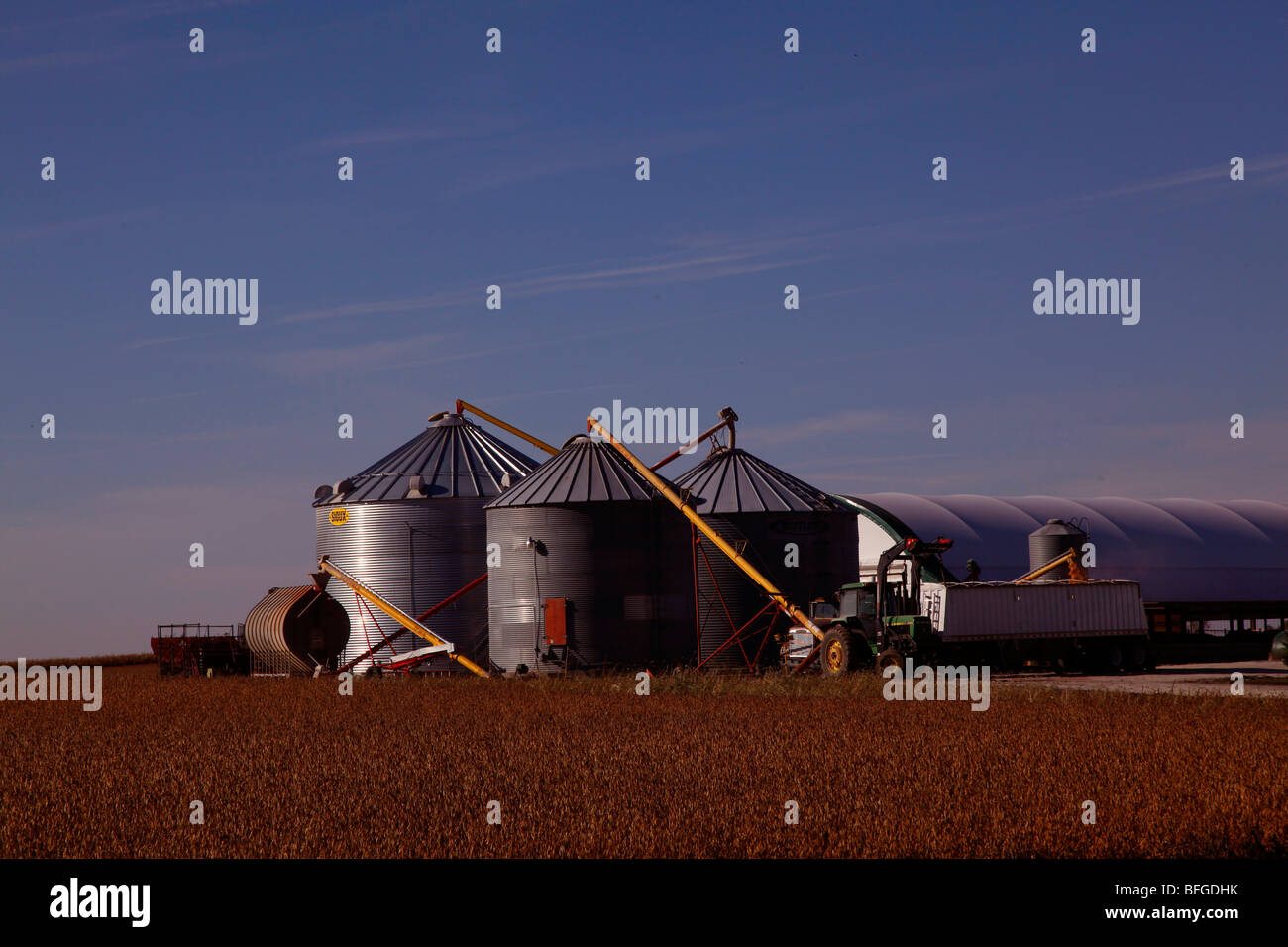 Azienda agricola e campi nel midwestern Stati Uniti (Iowa) Foto Stock