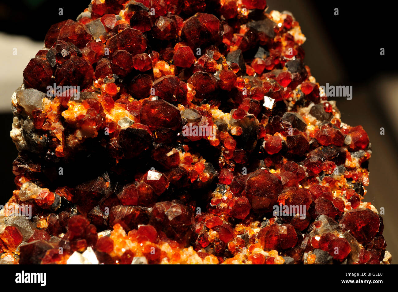 Cristalli di granato minerali, varietà almandino. Foto Stock