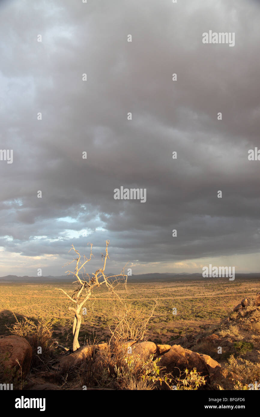 Tempesta nella savana africana Foto Stock