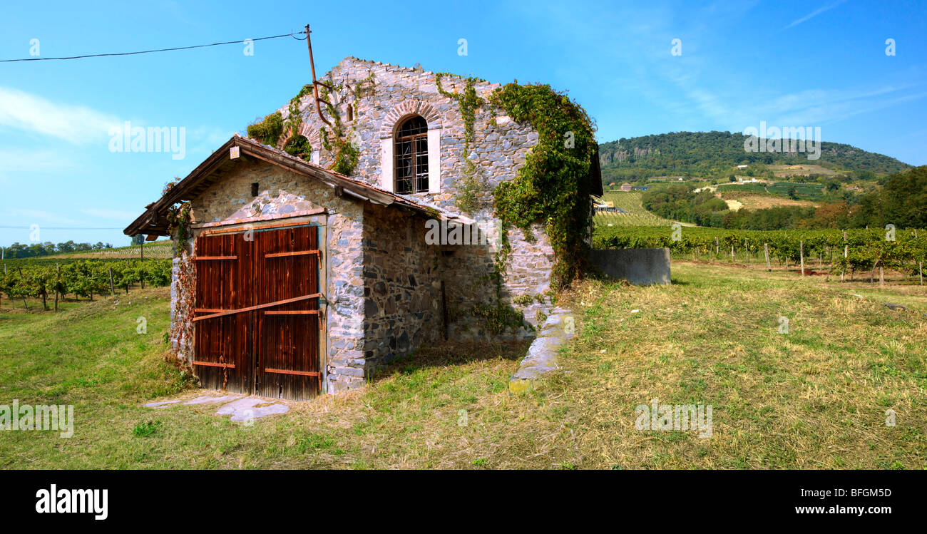 Cantina vini in Badascony vigneti , Balaton, Ungheria Foto Stock