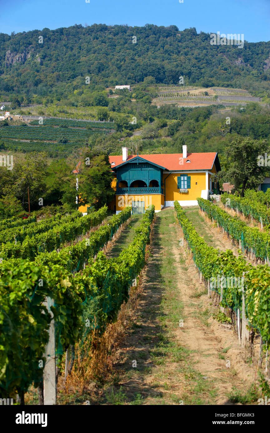 Cantina vini in Badascony vigneti , Balaton, Ungheria Foto Stock