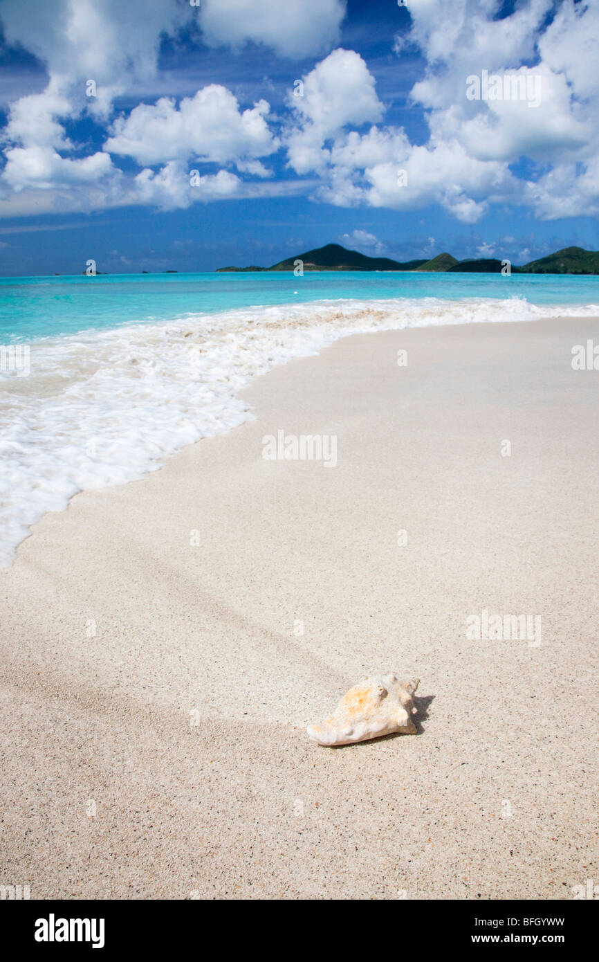 Ffyres Bay, Antigua con conchiglia di mare e Pearns punto all'orizzonte Foto Stock