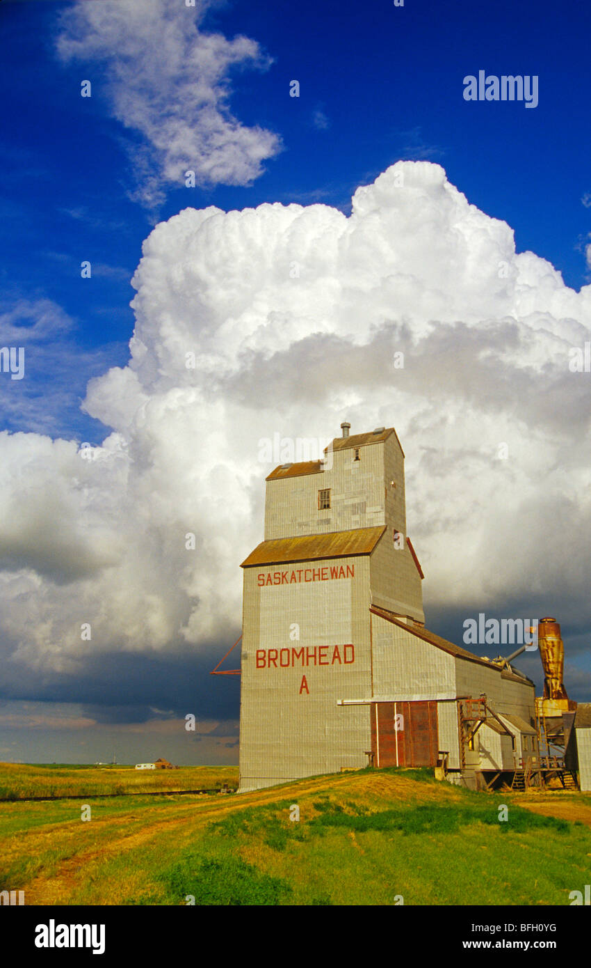 Elevatore della granella e cumulonimbus supercell, Bromhead, Saskatchewan, Canada Foto Stock
