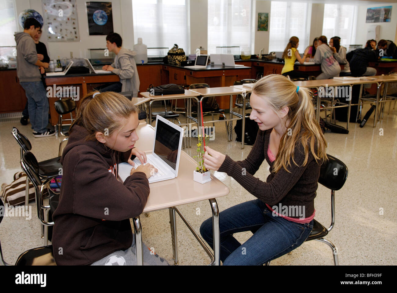 Gli studenti delle scuole superiori la raccolta di dati su un impianto sperimentale, apprendimento delle scienze in aula Foto Stock