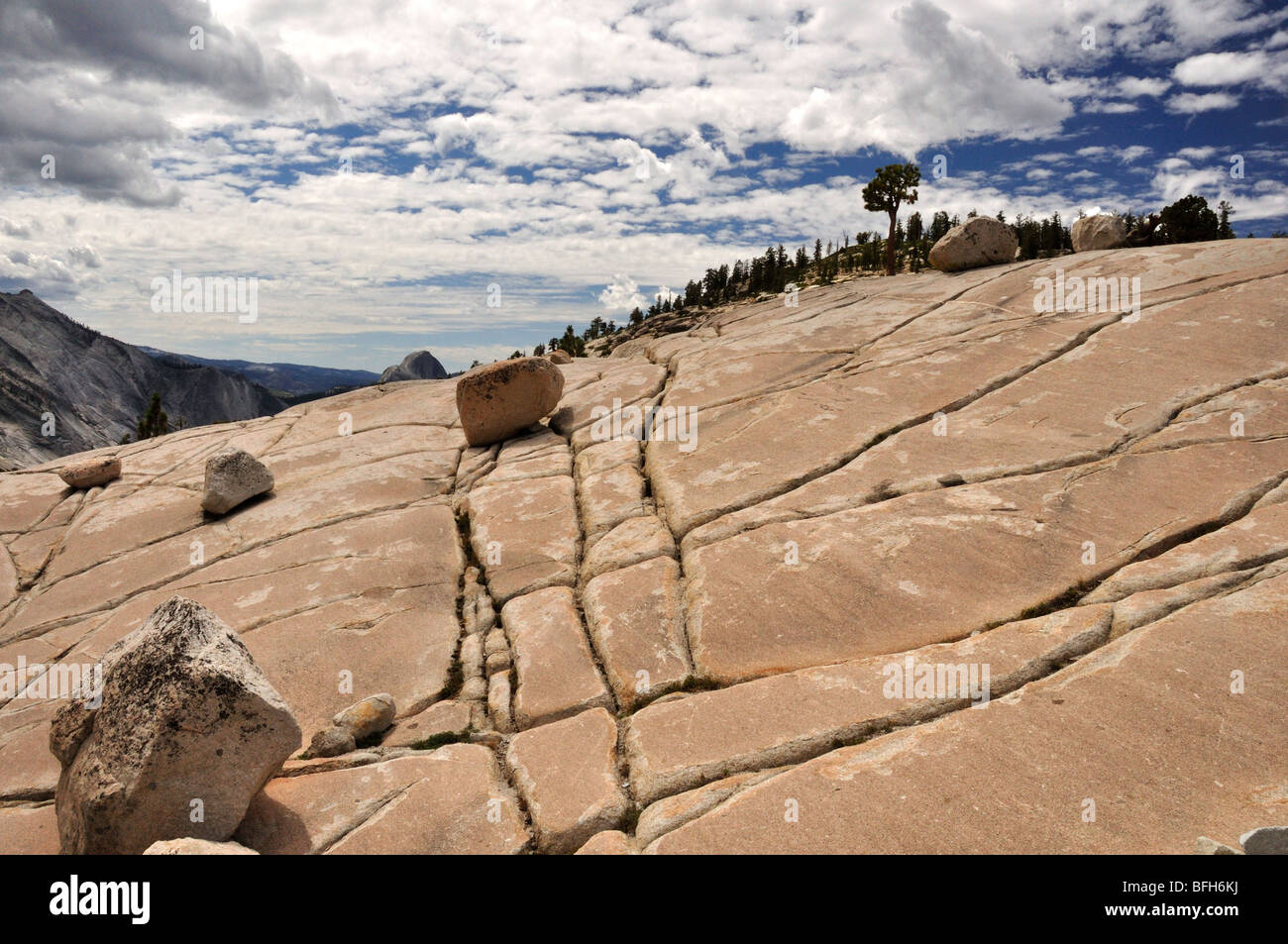 Sezione trasversale di granito che mostra striature glaciale a Olmsted Point, il Parco Nazionale di Yosemite Foto Stock