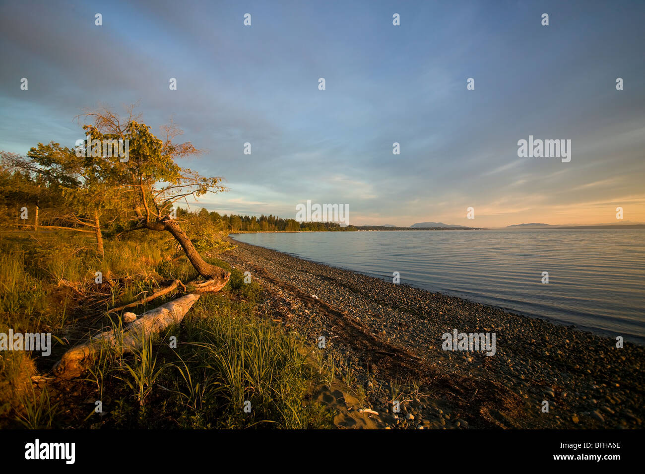 Il litorale lungo Oyster Bay, Campbell River, Isola di Vancouver, British Columbia, Canada. Foto Stock