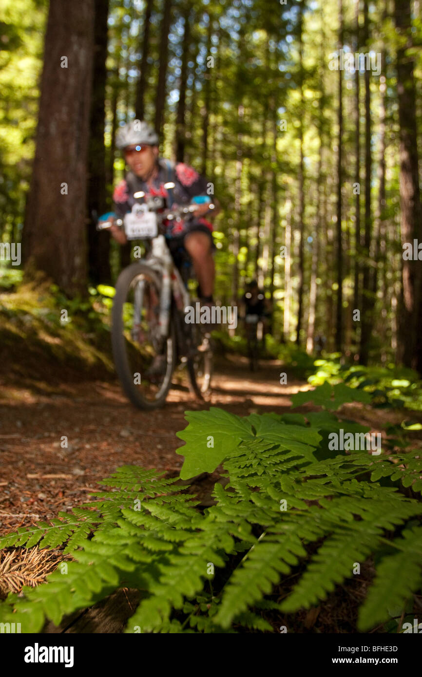 Un concorrente nel 2009 A.C. bike race corse attraverso qualche bella foresta di pioggia di Vancouver Island Foto Stock