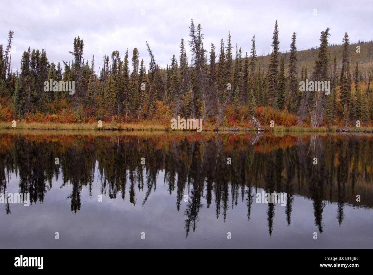 New Scenic 5 posti del lago alpino e i colori autunnali lungo il litorale. Onu-chiamato lago in Yukon Territory, Canada. Foto Stock