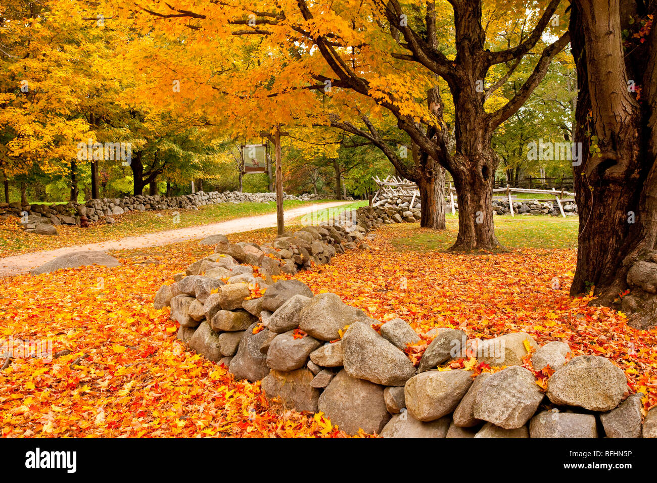 Vista autunnale della famosa battaglia strada tra Lexington e Concord - Lincoln Massachusetts USA Foto Stock