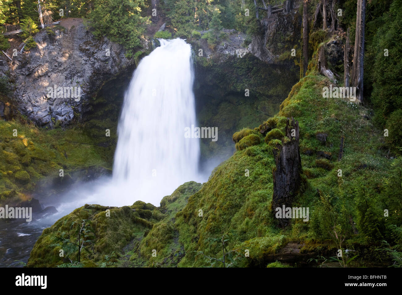 Sahalie cade sul fiume McKenzie nella centrale Oregon Cascade Mountains in Willamette National Forest. Foto Stock