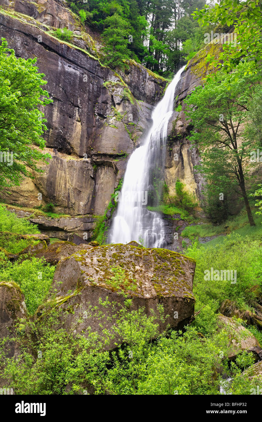 Golden cade situato in argento e Golden Falls State Park in Oregon. Foto Stock