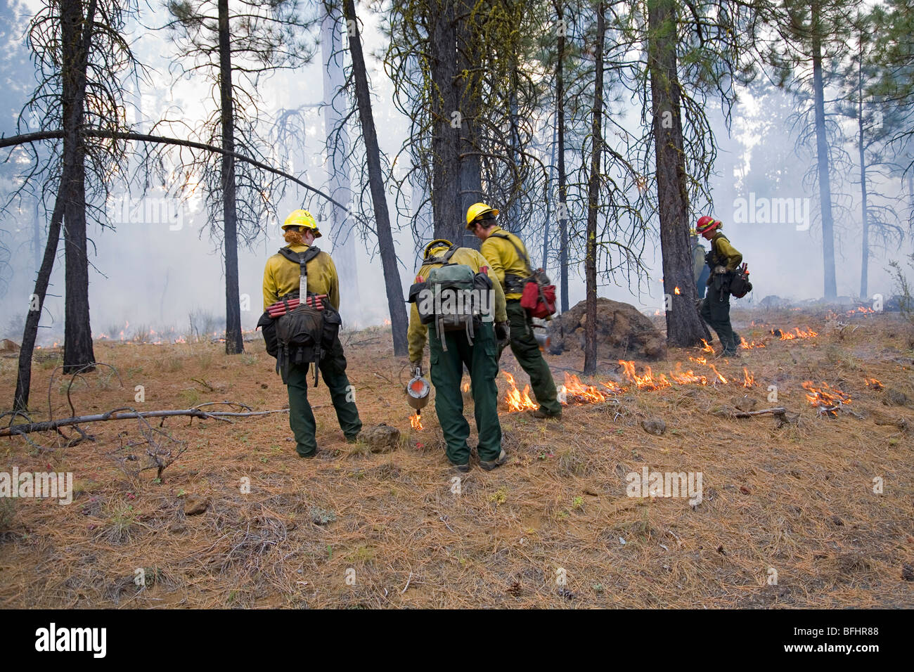 Noi Forest Service per la lotta antincendio equipaggi aiutano a controllare un prescritto o combustione controllata in una foresta di Cascade Mountains di Orego Foto Stock