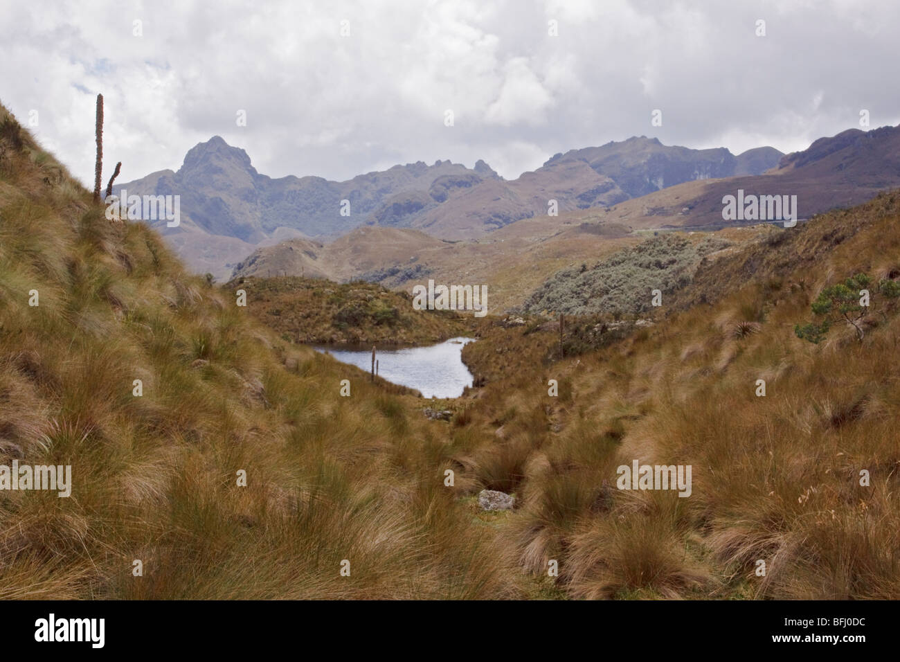 Una vista panoramica del Parco Nazionale Cajas vicino a Cuenca, Ecuador. Foto Stock