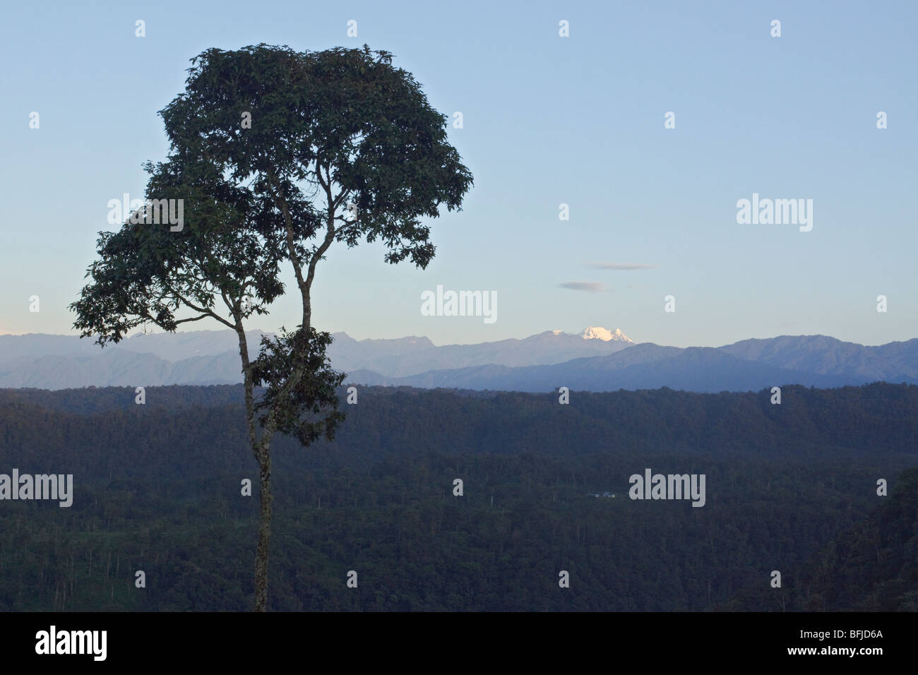 Una vista del versante orientale delle Ande montagne tra cui il vulcano Antisana in Ecuador. Foto Stock