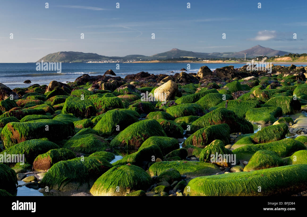 Killiney Bay, Dublino, Irlanda da White Rock Beach, con montagne di Wicklow in background Foto Stock