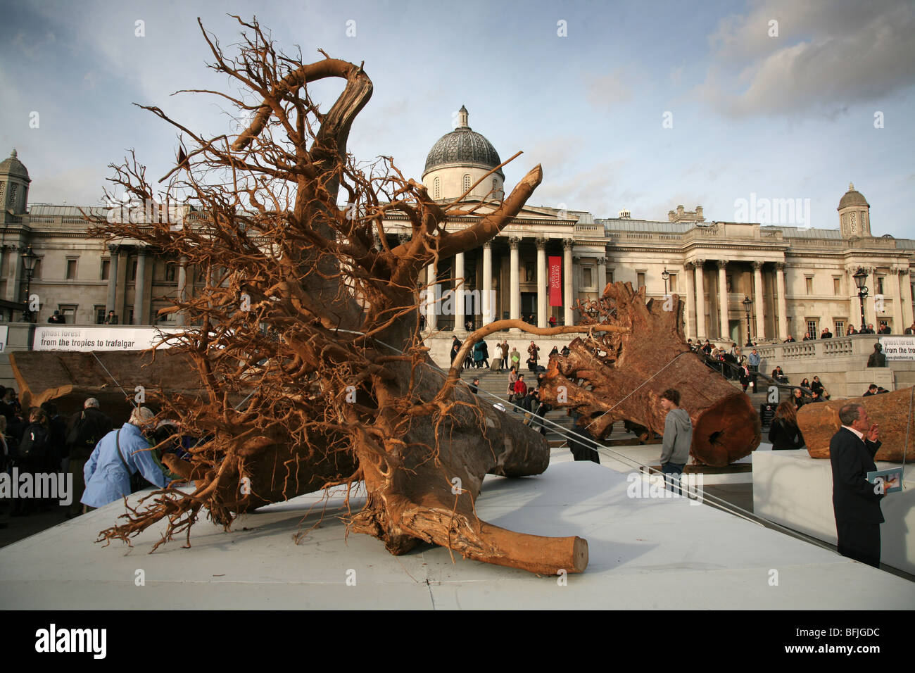 'Fantasma foresta' installazione, Trafalgar Square per artista Angela Palmer, Foto Stock