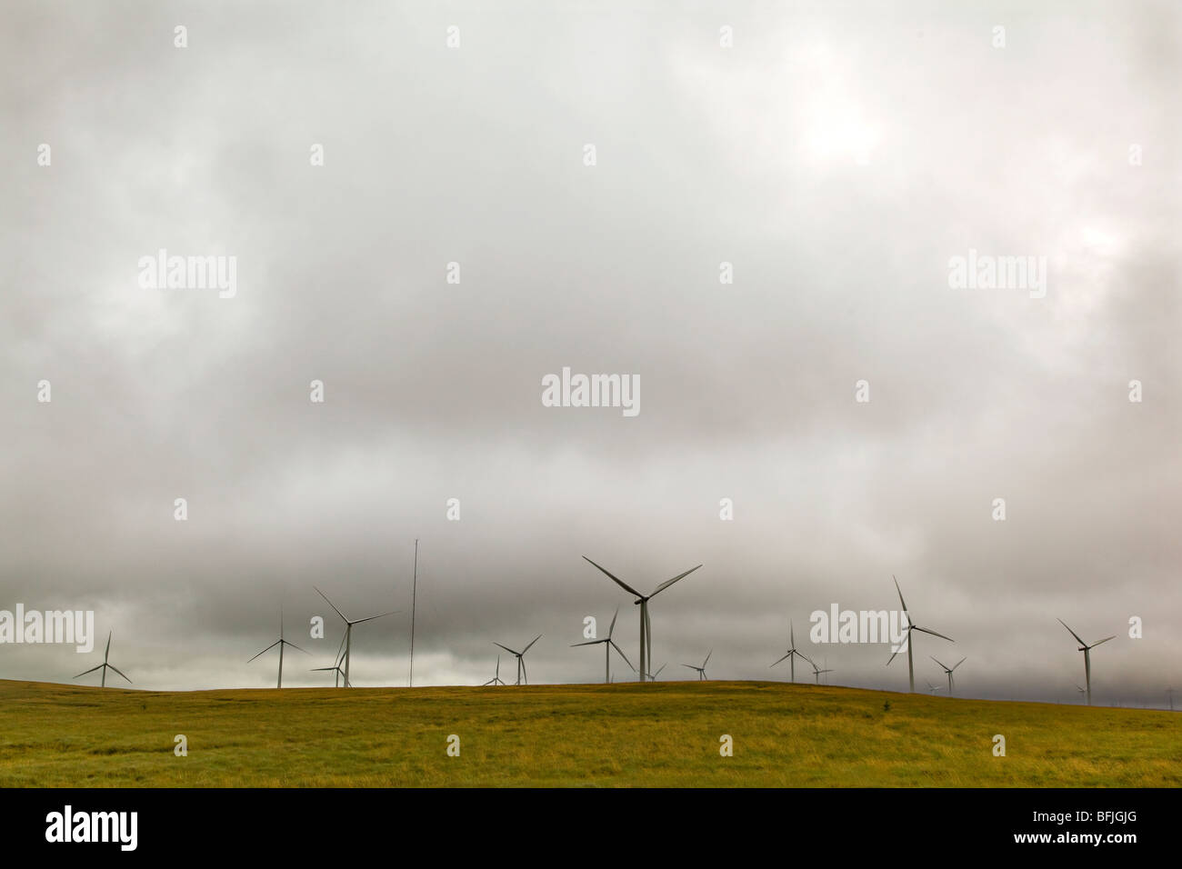 La Whitelee wind farm su Eaglesham Moor, vicino East Renfrewshire, Scozia. Foto Stock