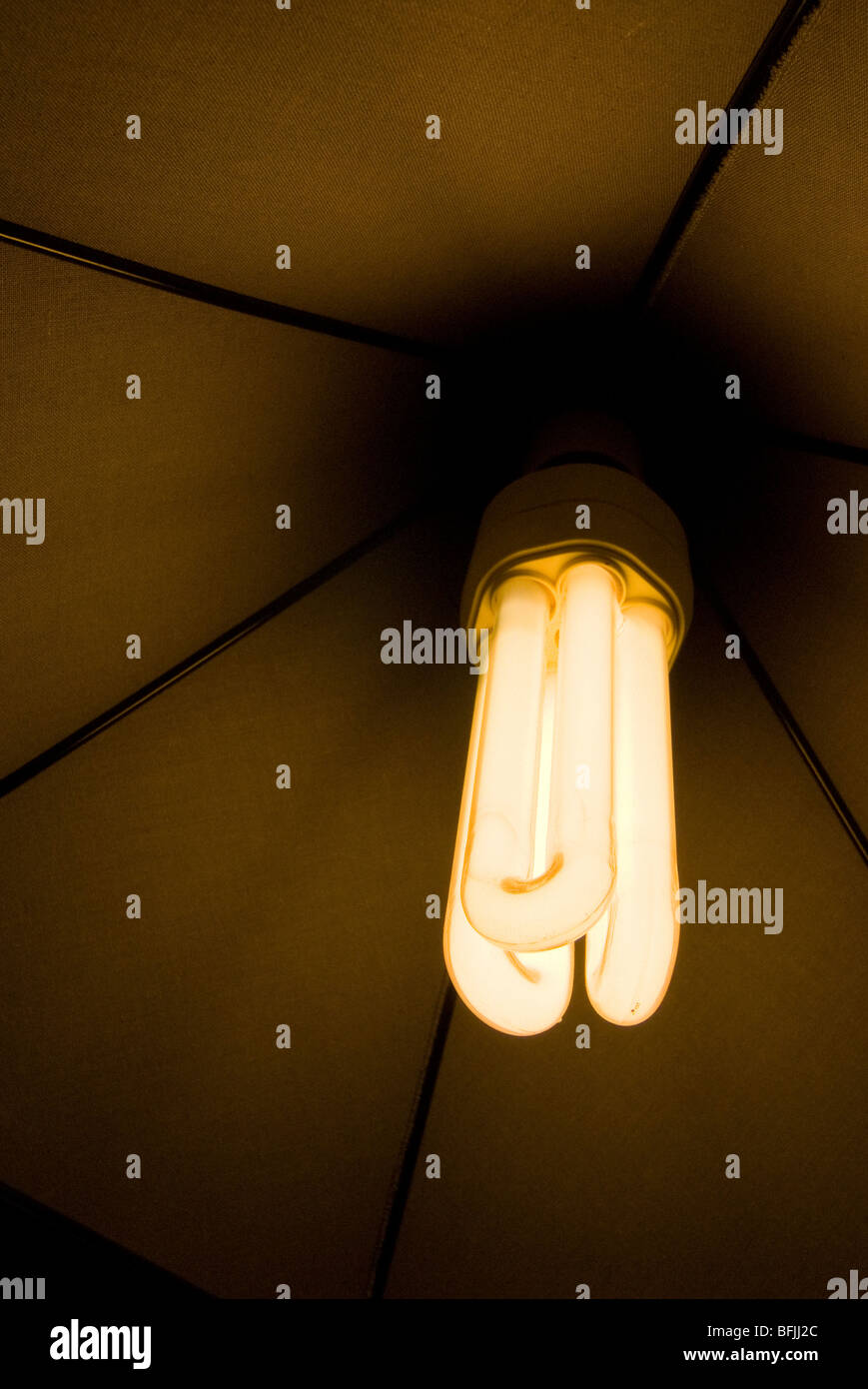 Basso consumo di energia lampadina accesa e incandescente Foto Stock