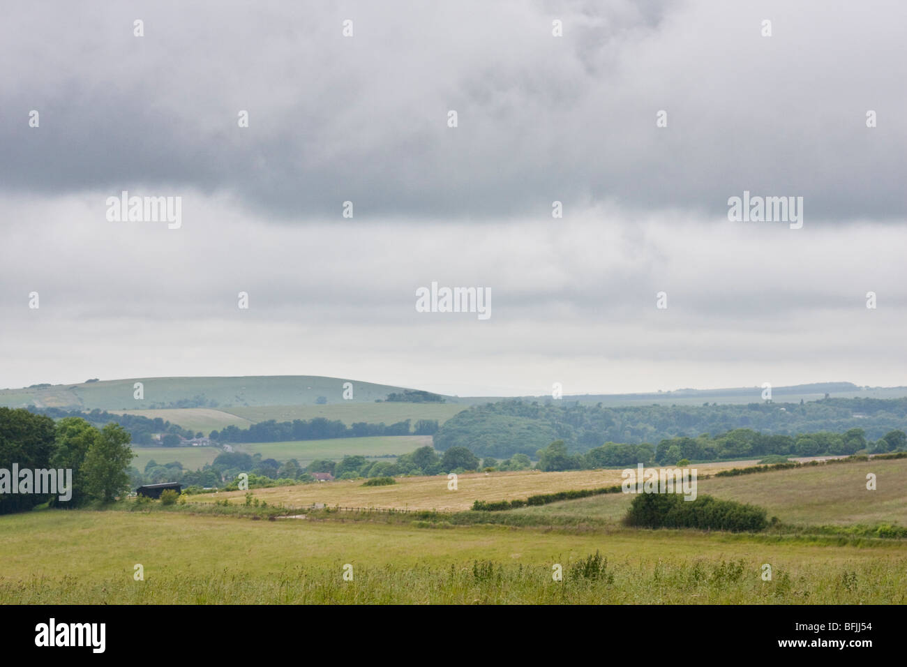 Sentiero pubblico vicino a Cissbury Ring nel West Sussex England Foto Stock
