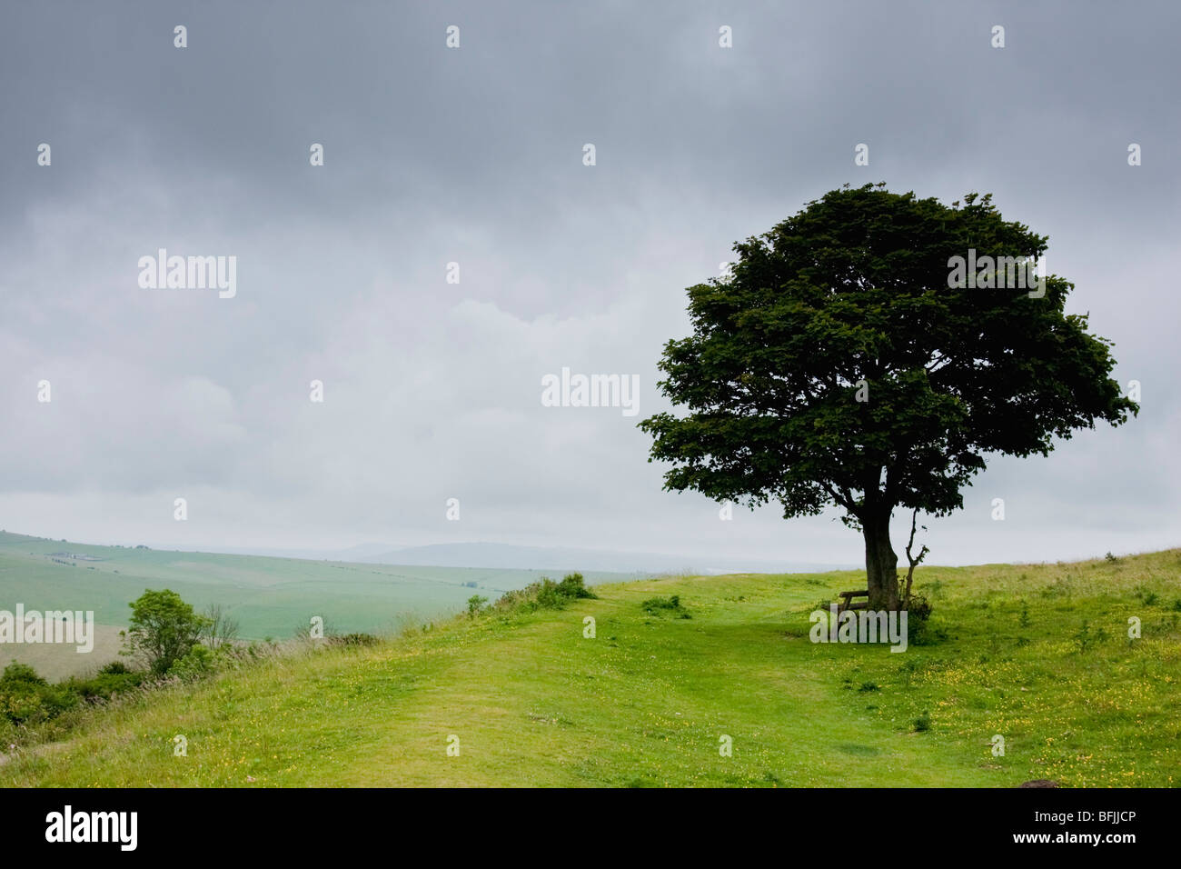 Sentiero pubblico vicino a Cissbury Ring nel West Sussex England Foto Stock