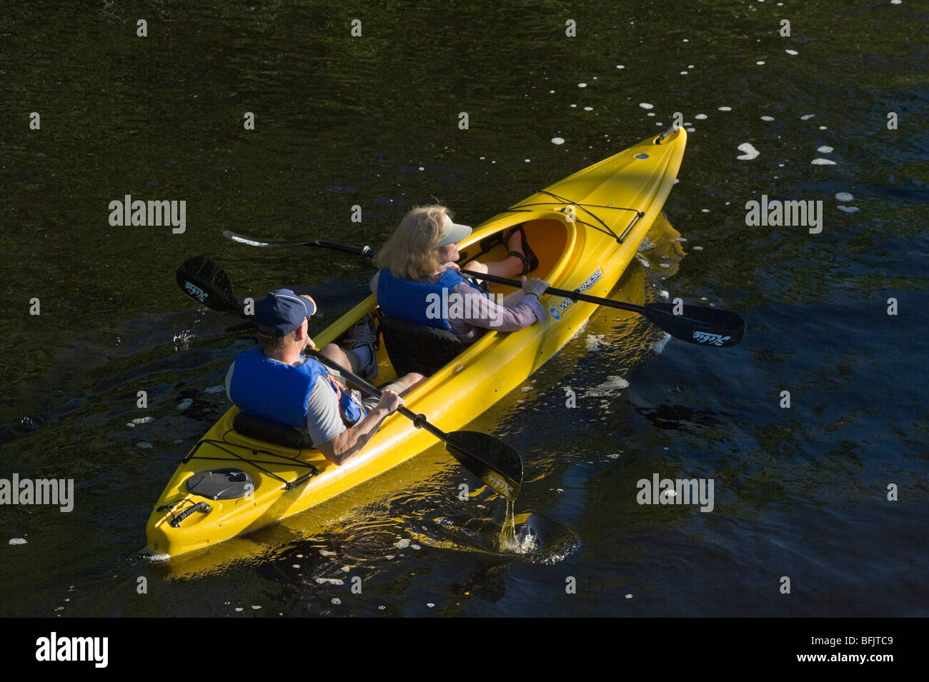 Kayaking sul Buttonwood Canal vicino a Flamingo, Everglades National Park, Florida, Stati Uniti d'America Foto Stock