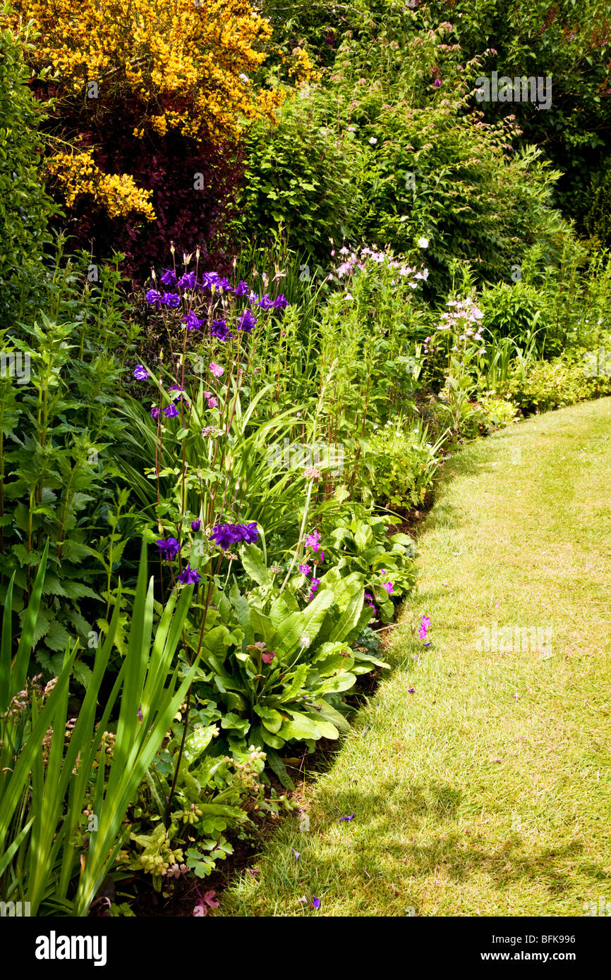 Confine di fiori lungo il bordo della ordinatamente prato falciato in una tipica cittadina inglese o paese giardino in una giornata di sole in estate precoce Foto Stock