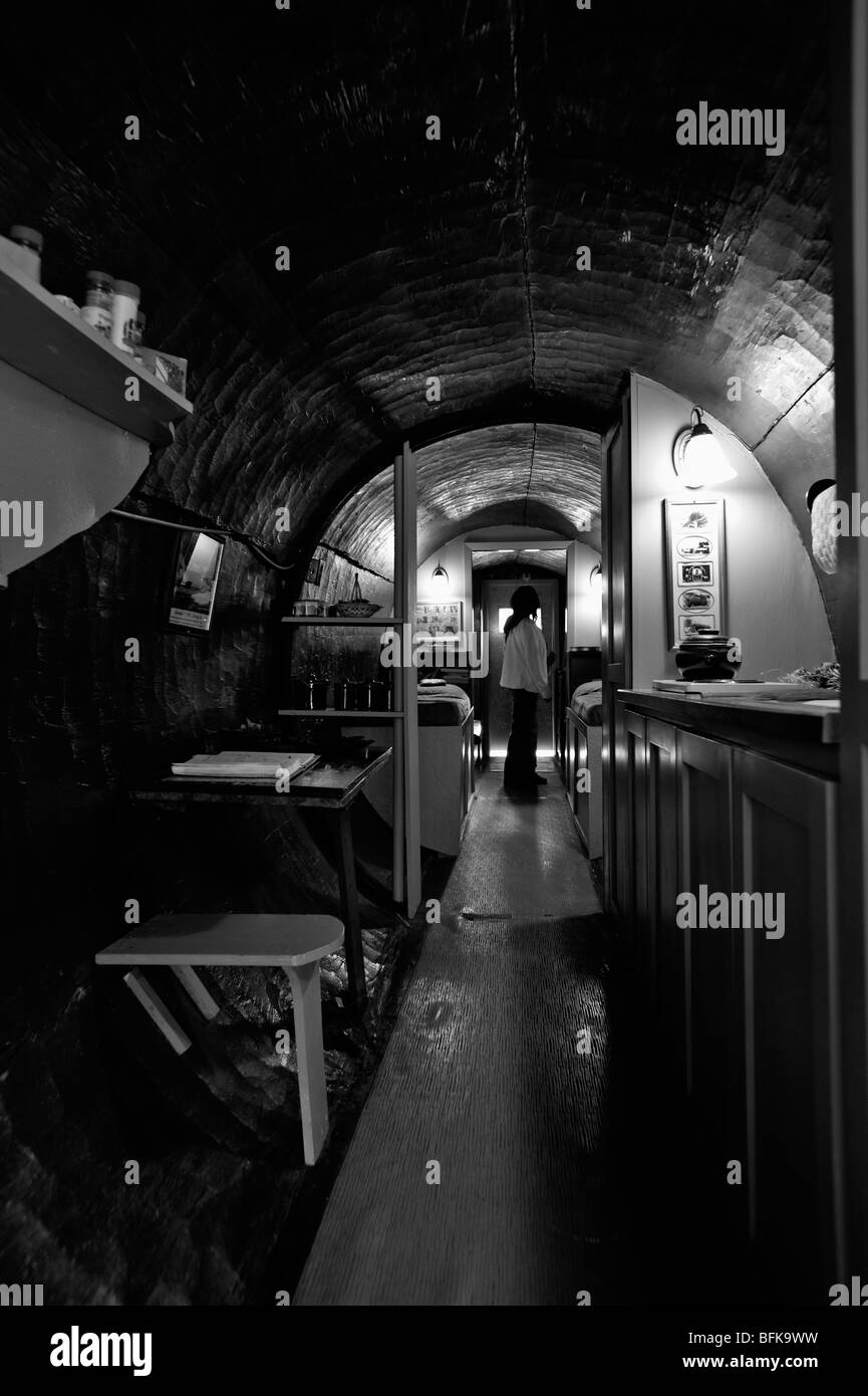 Gli interni di una casa scolpito in un unico registro di gigantesco albero di sequoia in Oregon, USA Foto Stock
