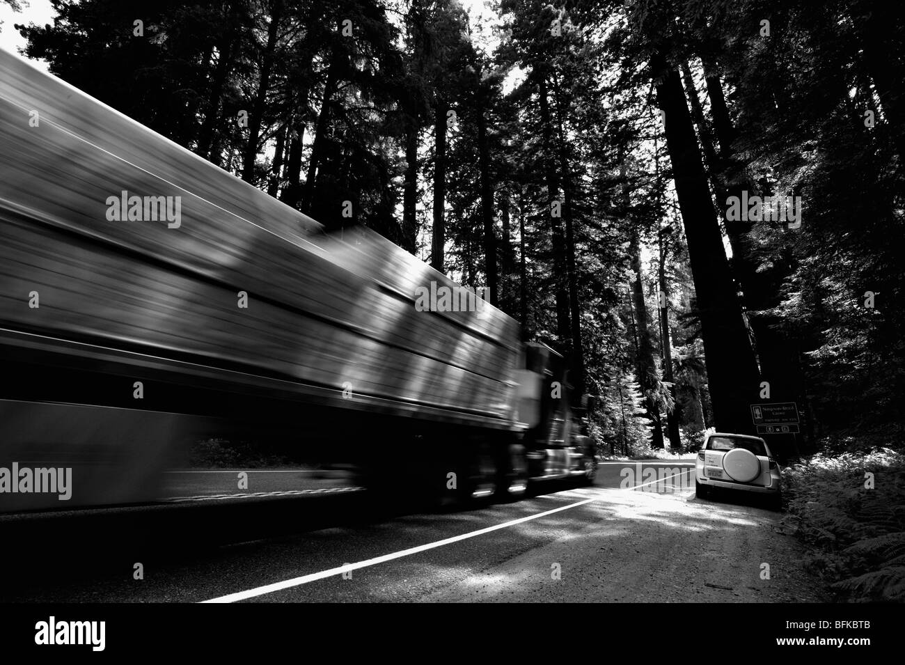 Carrello il sorpasso di una macchina parcheggiata in costiera Redwood foreste del nord della California, Stati Uniti d'America Foto Stock
