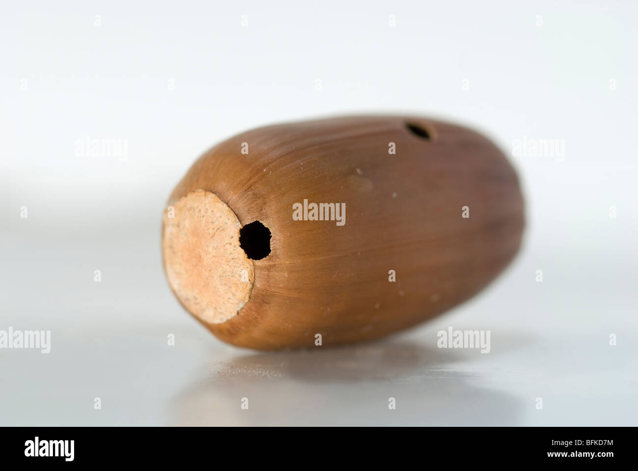 Albero triste Immagini senza sfondo e Foto Stock ritagliate - Alamy