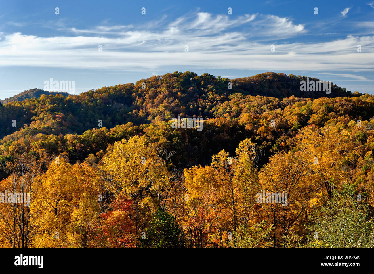 Colore di autunno sul Monte Pino nella contea di Letcher, Kentucky Foto Stock