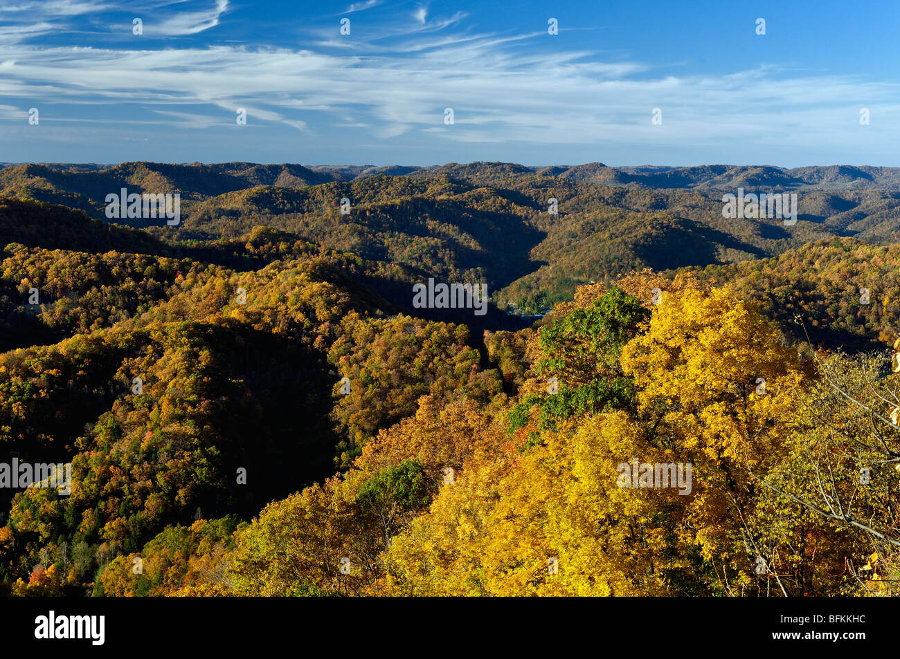 Colore di autunno sul Monte Pino nella contea di Letcher, Kentucky Foto Stock