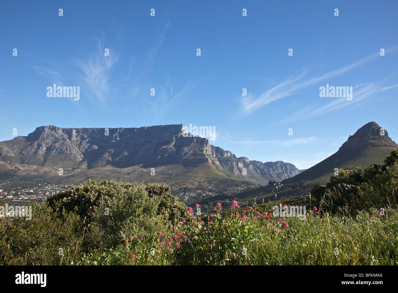 La Montagna della Tavola da Signal Hill, mostrando Lions Head sulla destra, Cape Town, Sud Africa. Foto Stock